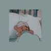 austin_706